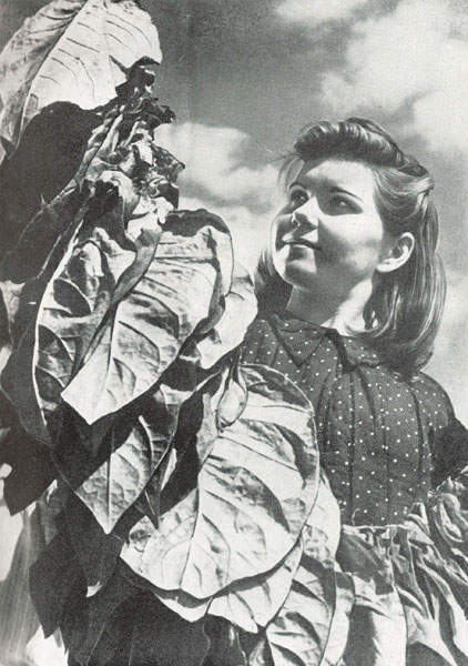  . 1960.   