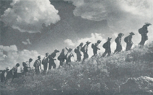  . 1960. 