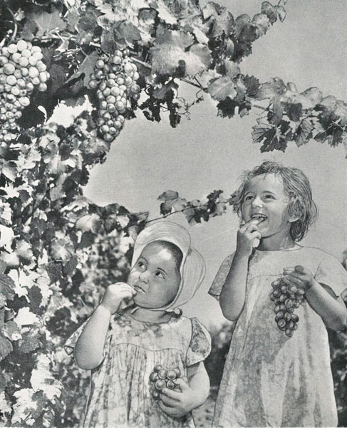  . 1960.  ,    ,     