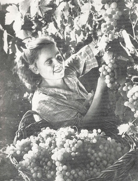  . 1960. , ,   