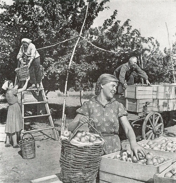  . 1960.      ,   !