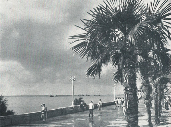  . 1960.  